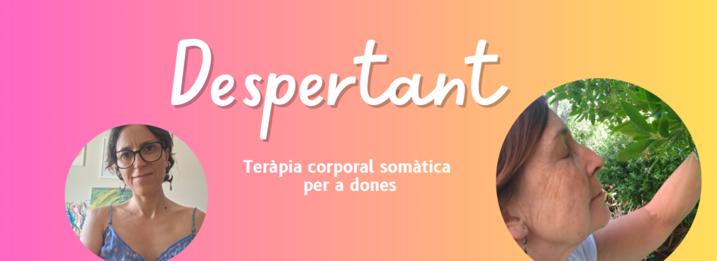 Banner Despertant